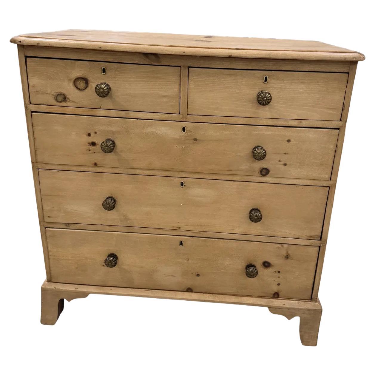 Cassettiera in pino inglese del XIX secolo