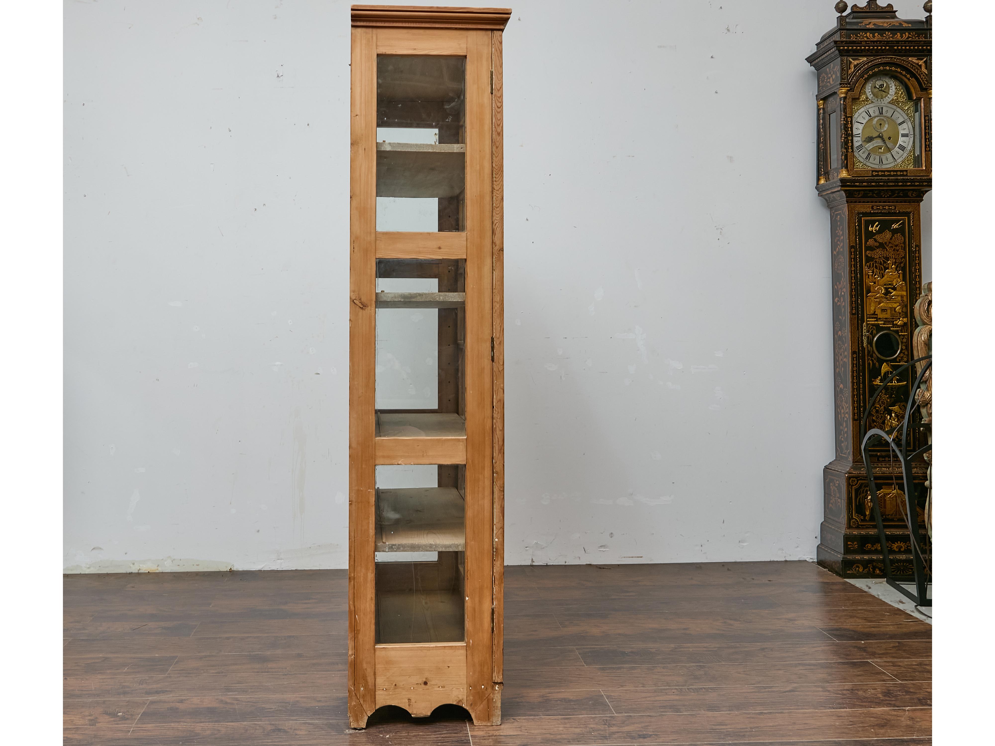 Appliqué 19th Century English Pine Glass Door Cabinet with Painted Interior For Sale