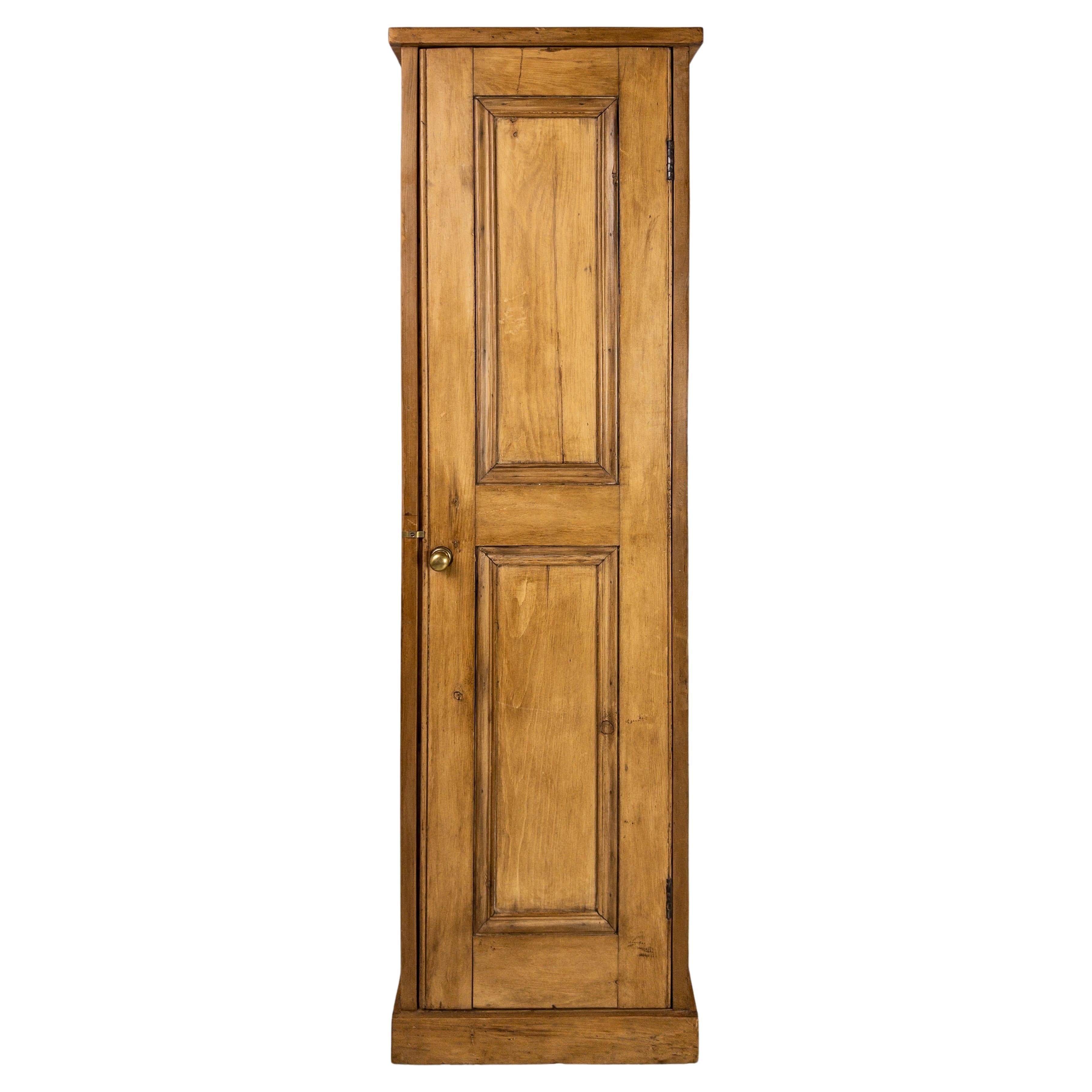 19th Century English Pine Tall Cabinet For Sale at 1stDibs