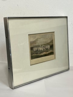 19th Century English Print by W. H. Davis of Cheviot Ewes in Kulicke Frame