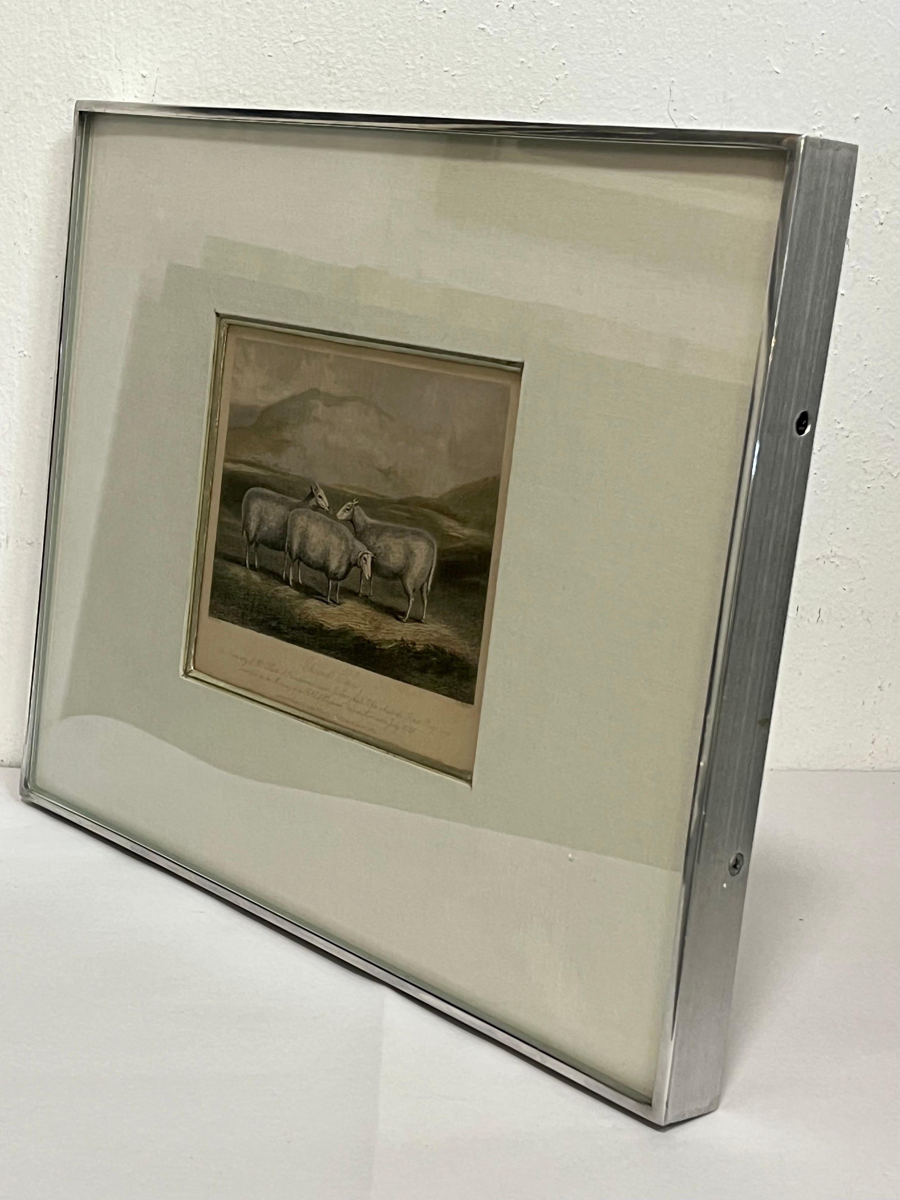 19th Century English Print by W. H. Davis of Cheviot Ewes in Kulicke Frame In Good Condition In Atlanta, GA