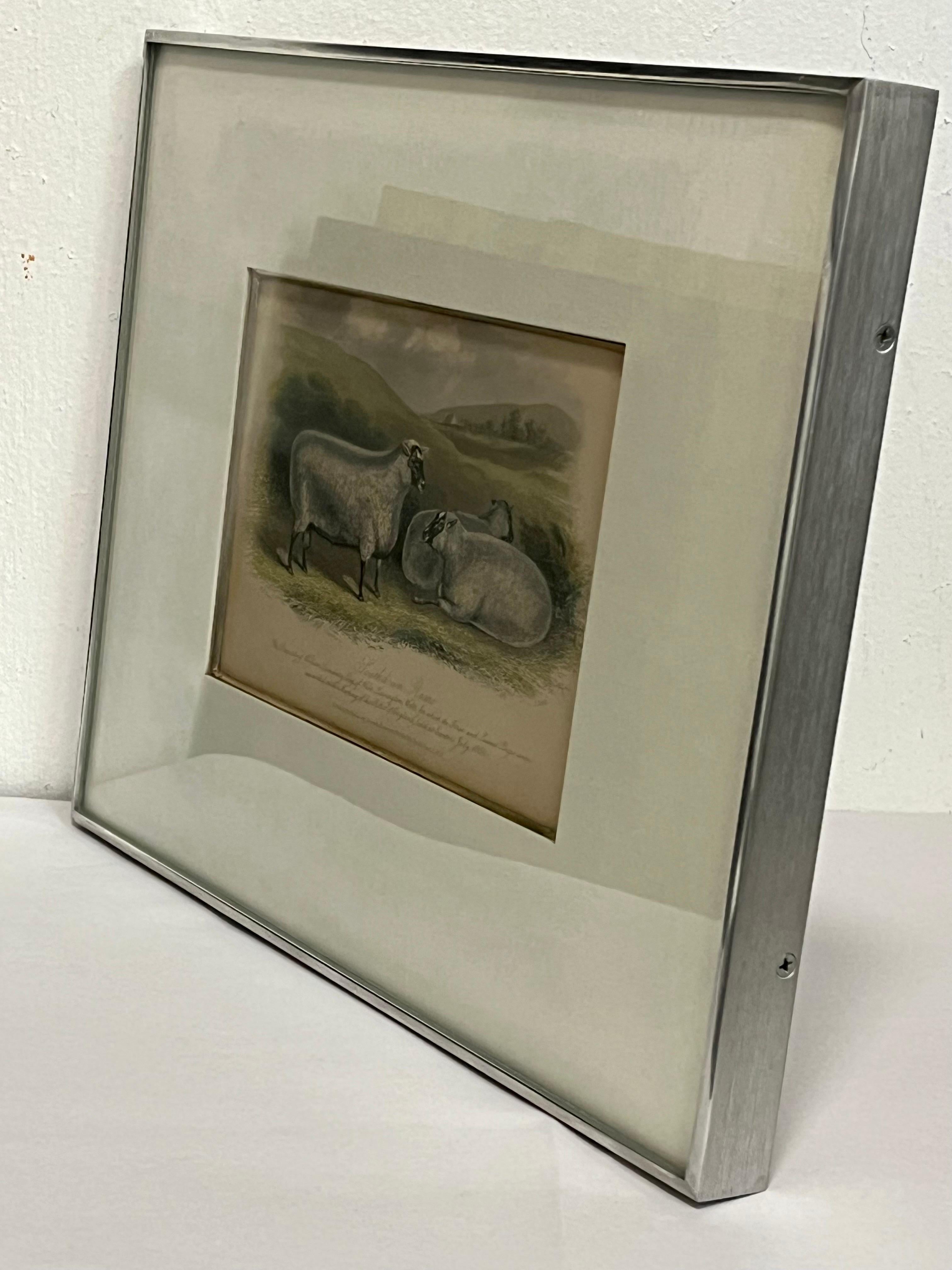19th Century English Print by W. H. Davis of Southdown Rams in Kulicke Frame In Good Condition In Atlanta, GA