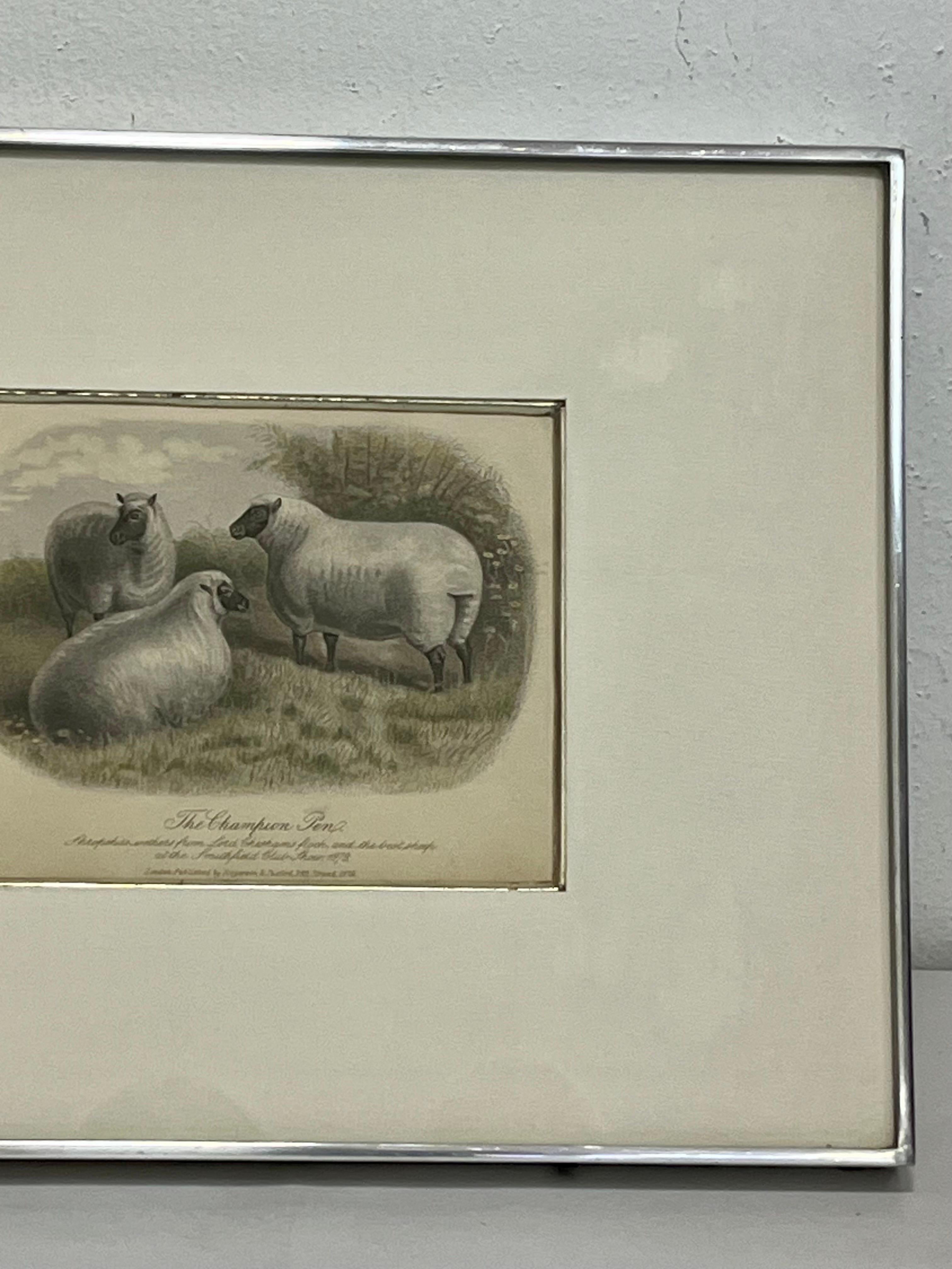 19th Century English Print Style of W. H. Davis the Champion Pen Kulicke Frame In Good Condition In Atlanta, GA
