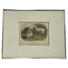 Used 19th Century English Print Style of W. H. Davis the Champion Pen Kulicke Frame
