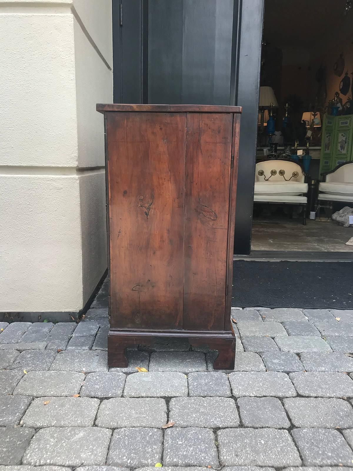 19th Century English Rare Species Pine Cabinet, Two Shelves 10