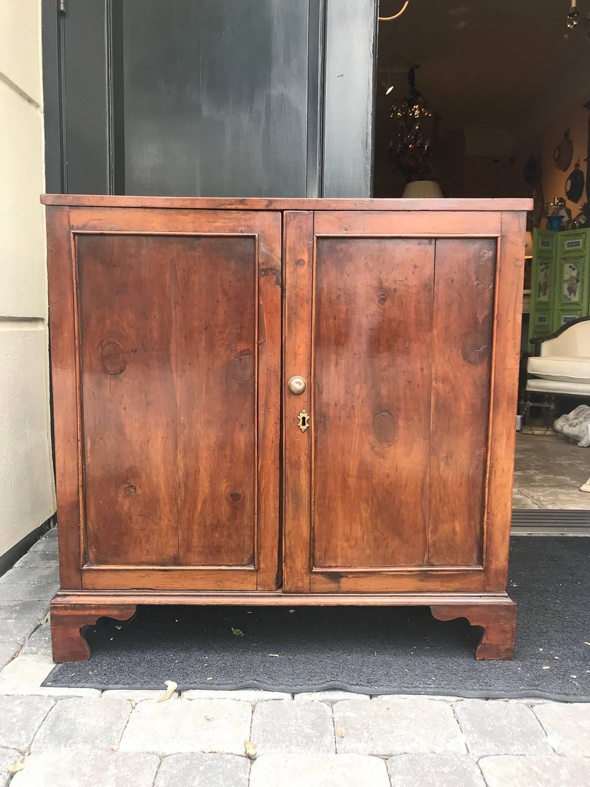 19th century English rare species pine cabinet, two shelves.