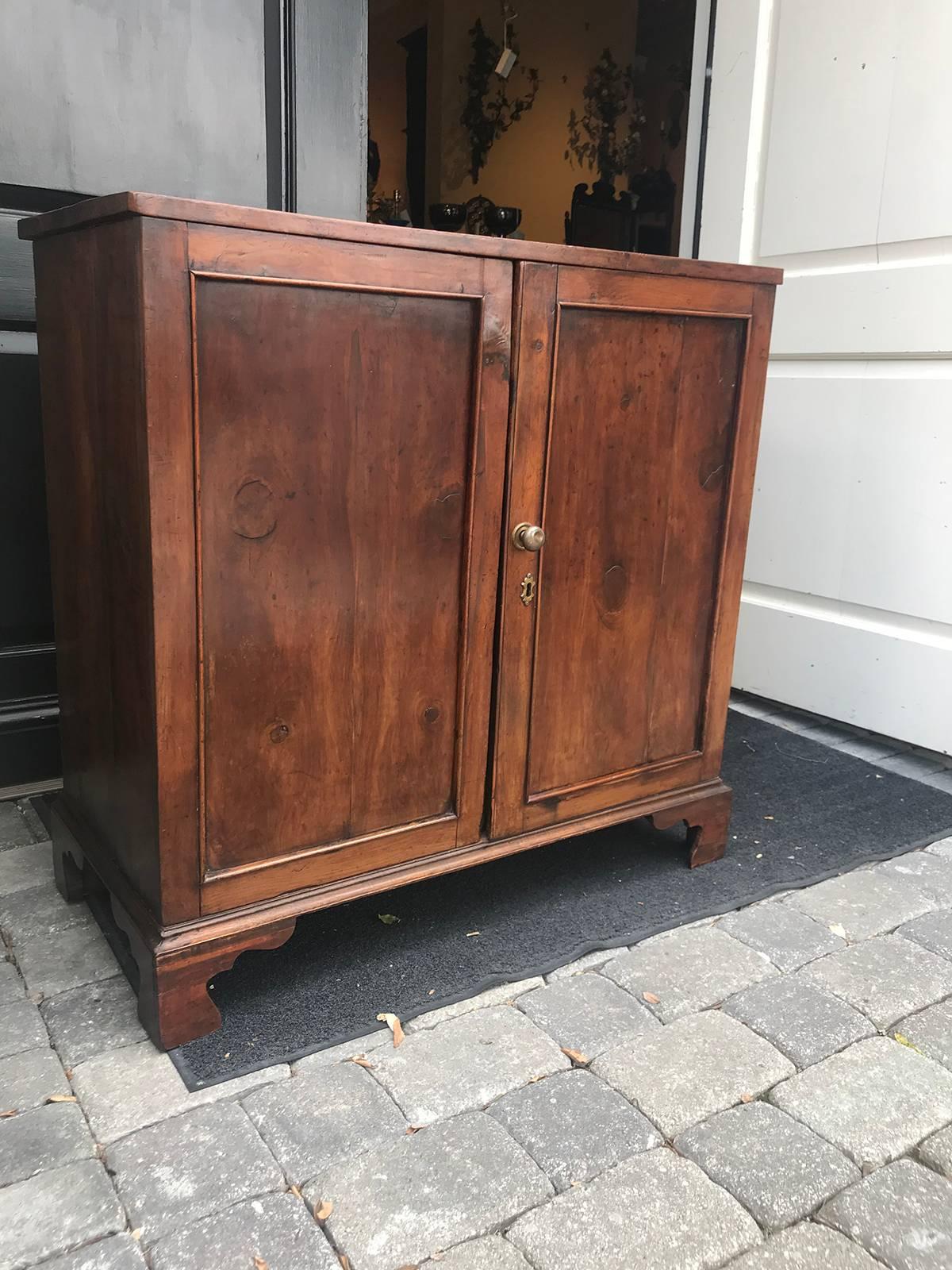 19th Century English Rare Species Pine Cabinet, Two Shelves In Good Condition In Atlanta, GA