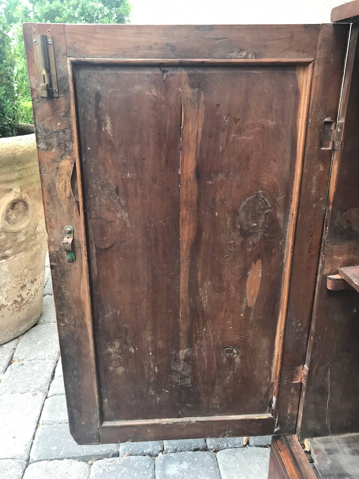 19th Century English Rare Species Pine Cabinet, Two Shelves 3