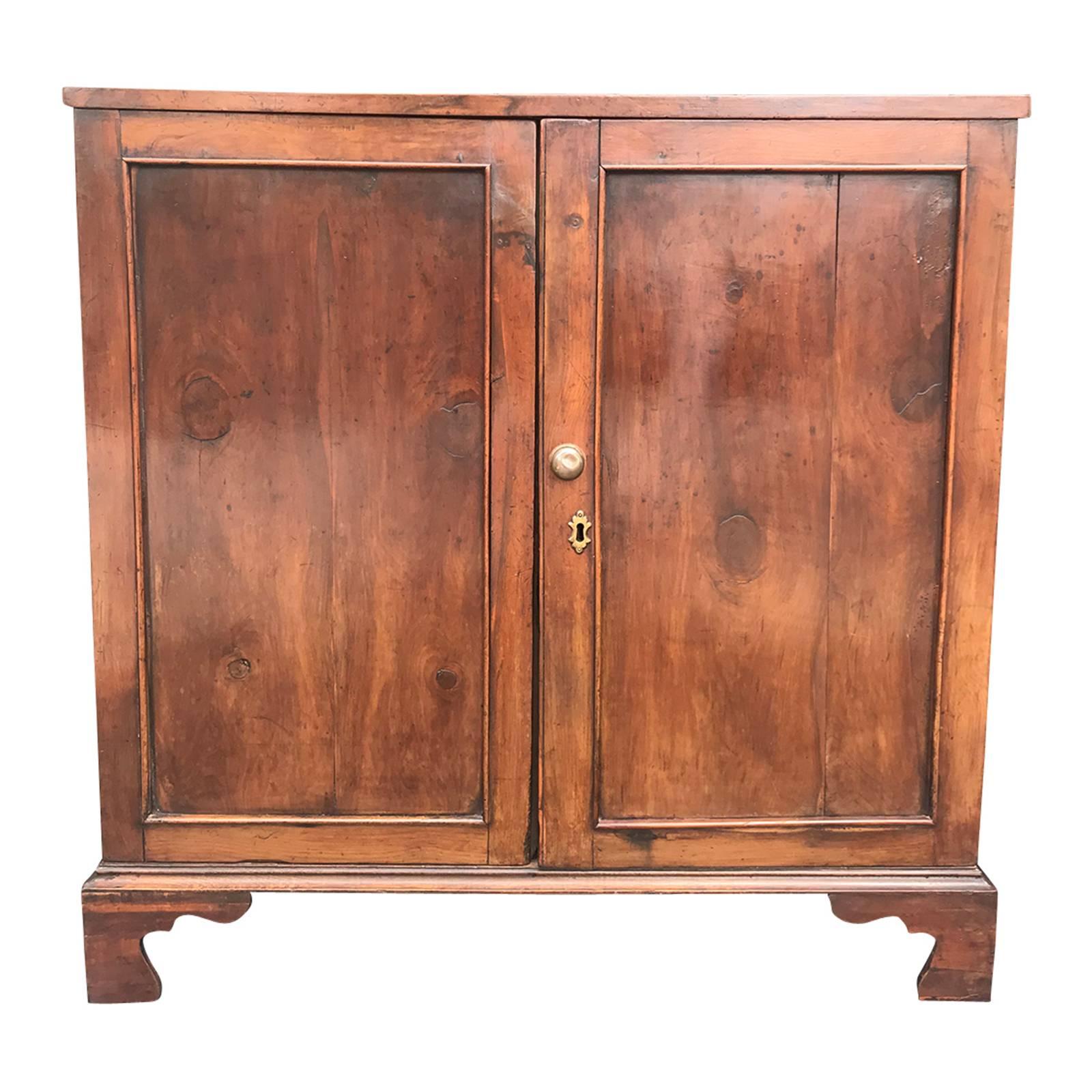 19th Century English Rare Species Pine Cabinet, Two Shelves