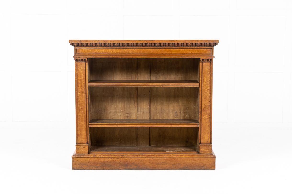 A good, well figured English Regency open bookcase constructed in bird's eye maple. Having a gadrooned edge to the cornice, over two adjustable shelves with moulded edges, flanked by pilasters with carved capitals. Standing on a plinth base.
 