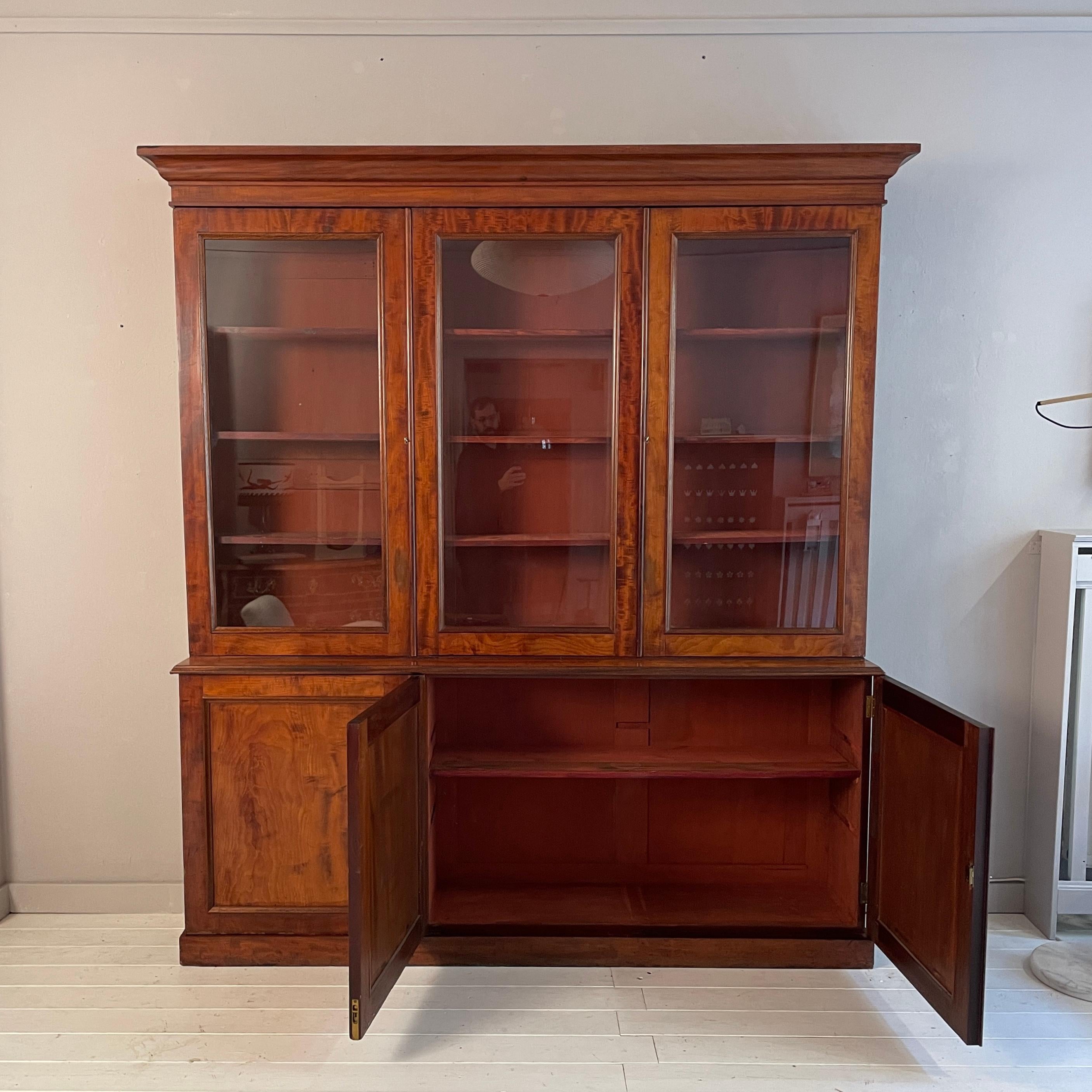 19th Century English Regency Bookcase Library in Red Brown Wood, Around 1830 2