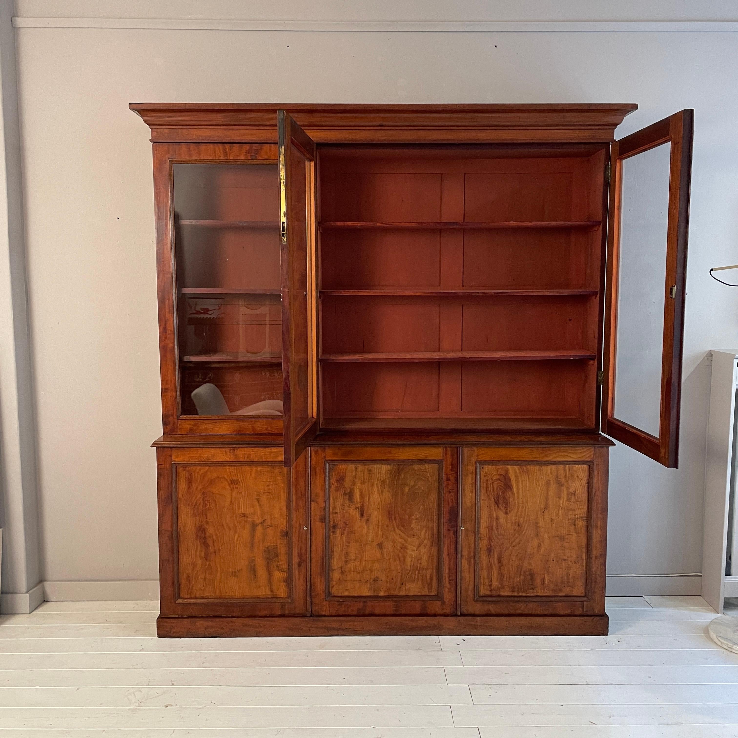 19th Century English Regency Bookcase Library in Red Brown Wood, Around 1830 3