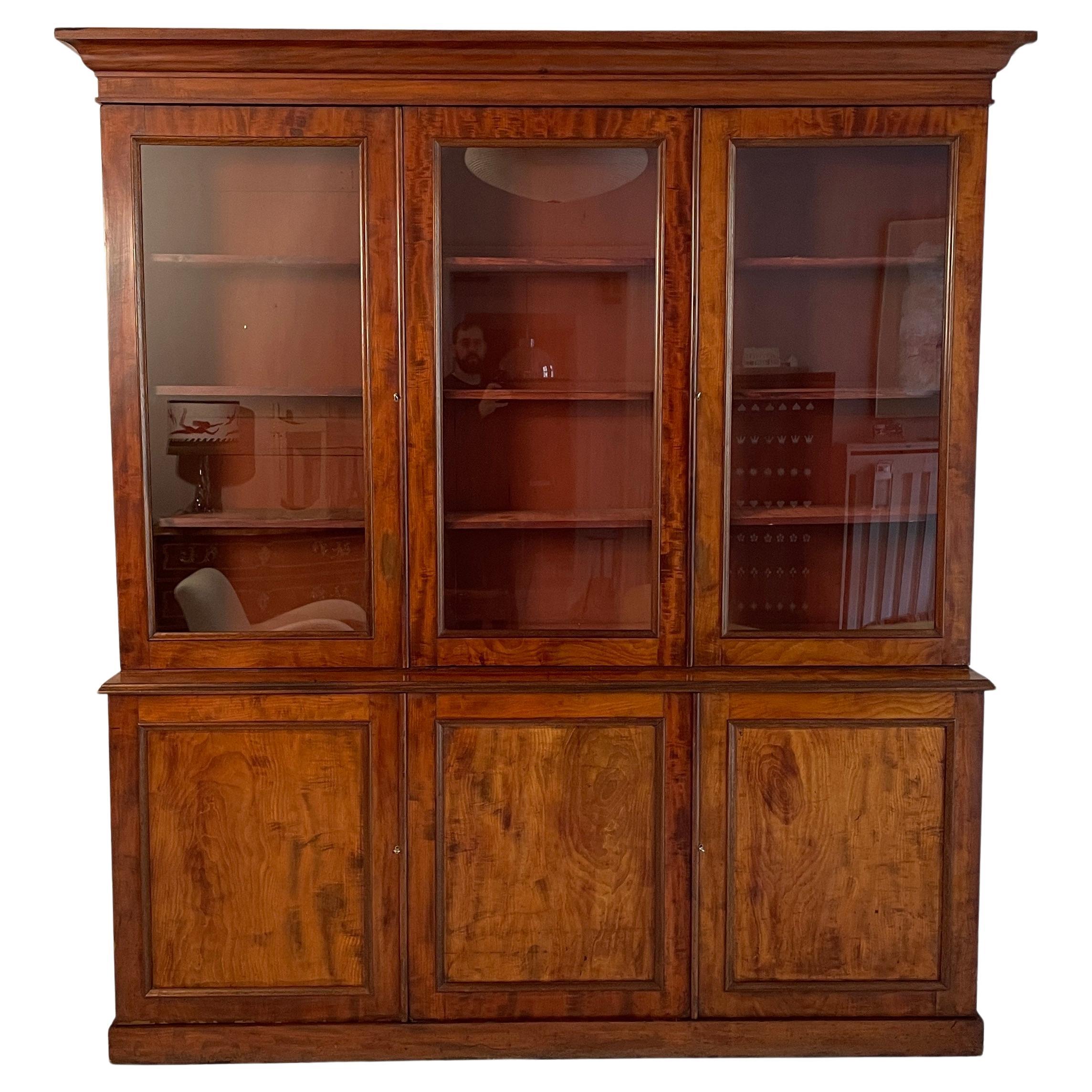19th Century English Regency Bookcase Library in Red Brown Wood, Around 1830