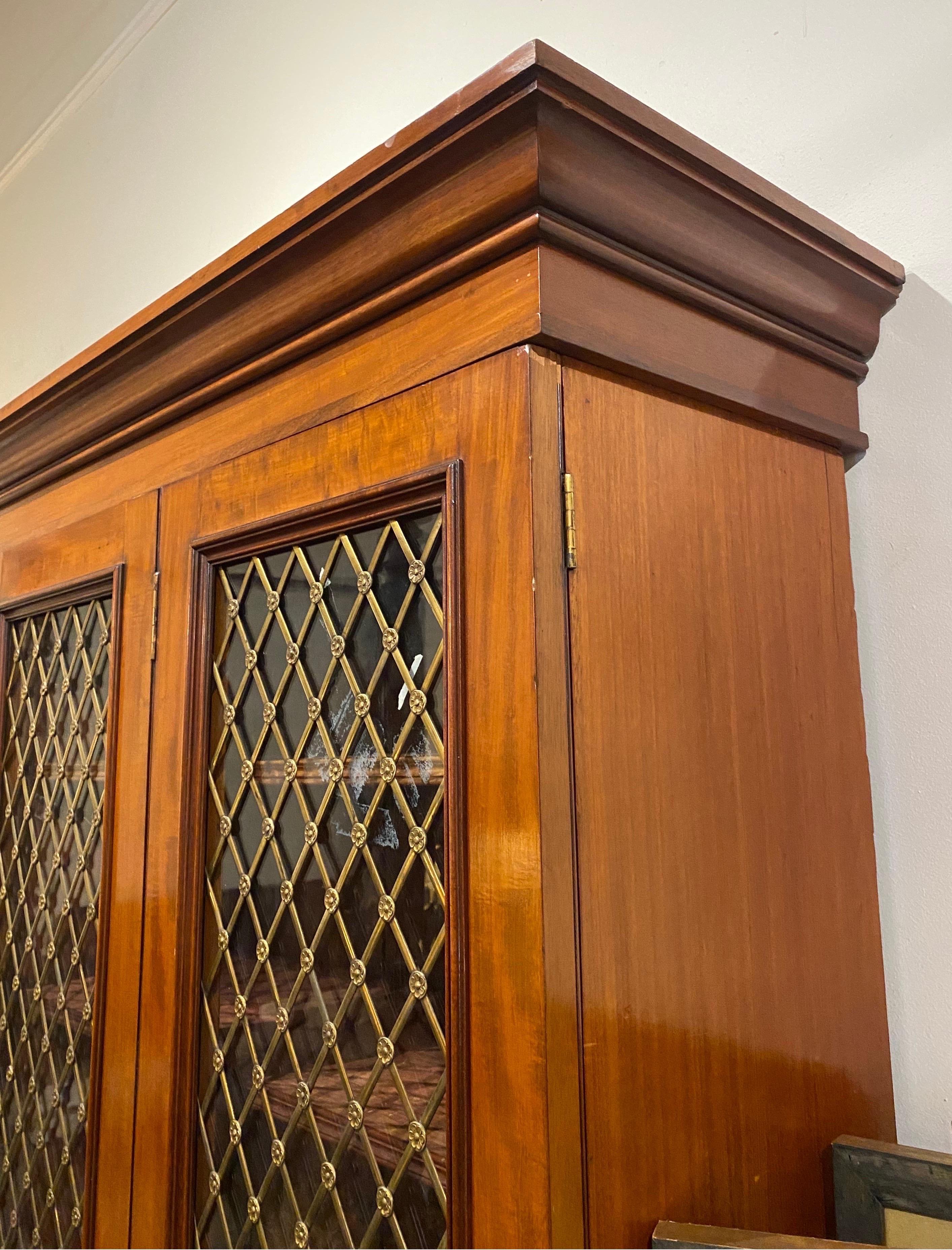 Mahogany 19th Century English Regency Bookcase or Gun Case with Double Folding Doors