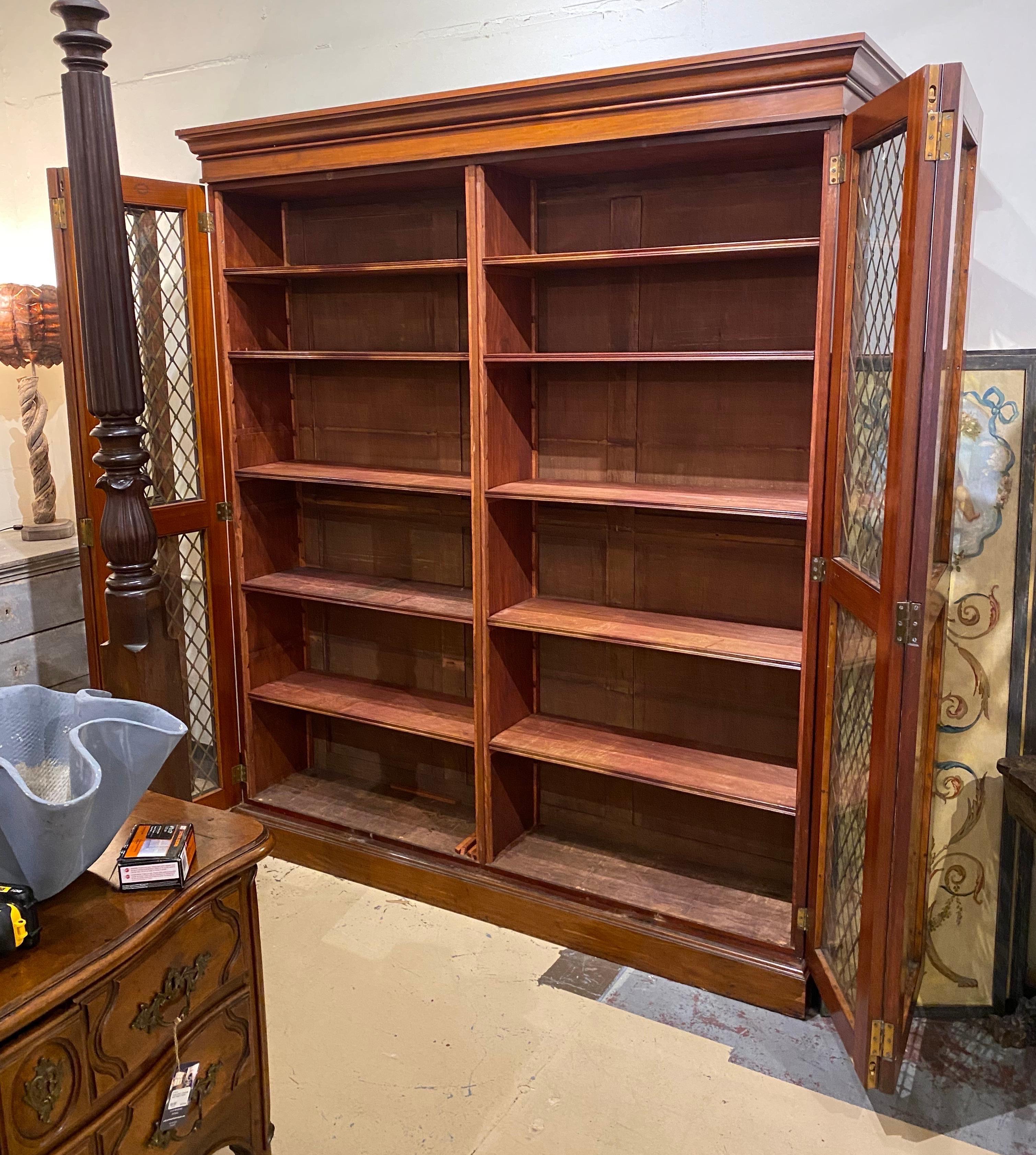 19th Century English Regency Bookcase or Gun Case with Double Folding Doors 2
