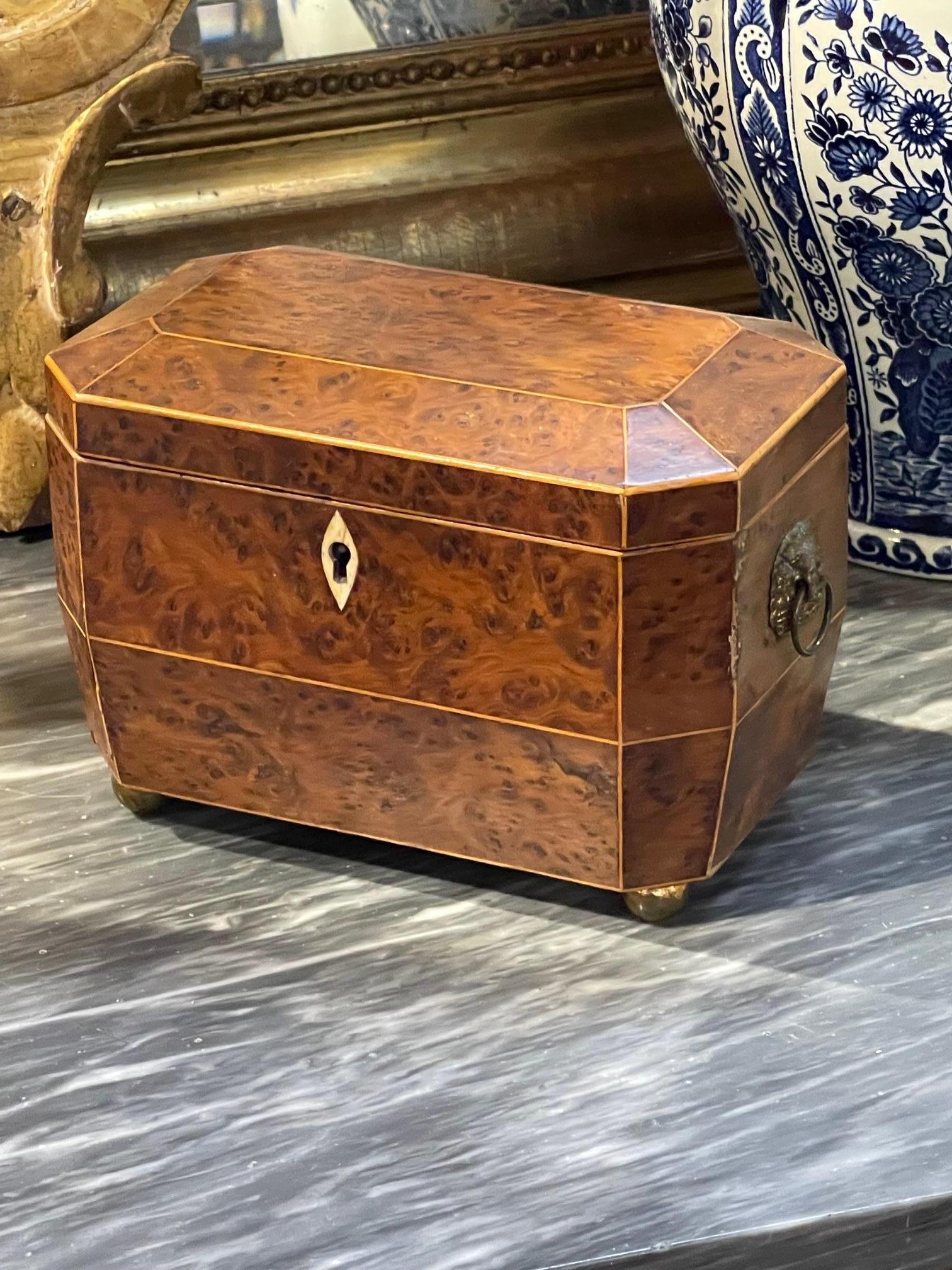 Beautiful 19th century English Regency burl walnut tea caddy. Lovely shape and pretty details including decorative handles on the sides. Makes an elegant statement!