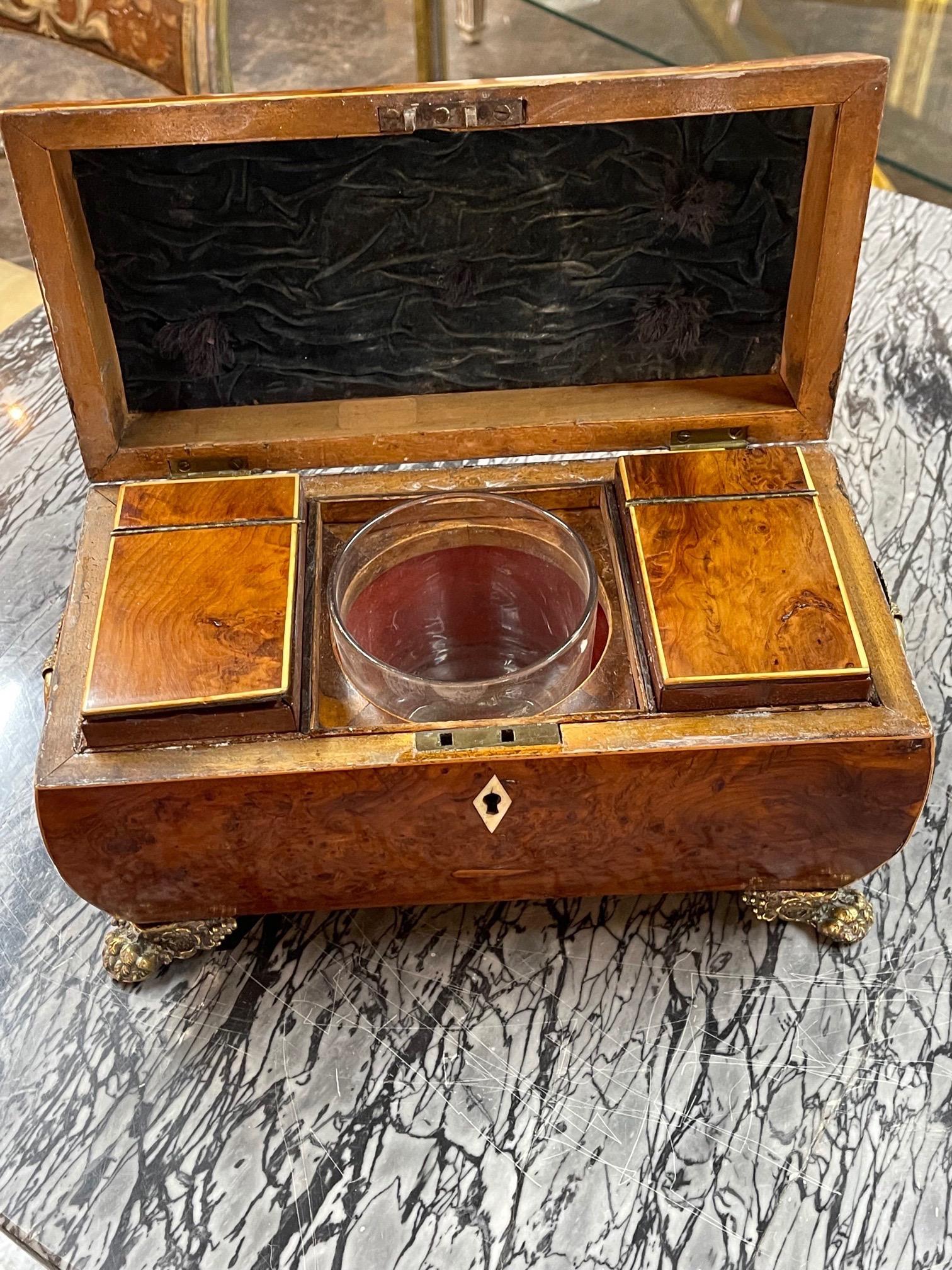 Englische Regency-Teedose aus Wurzelnussholz, 19. Jahrhundert im Angebot 4