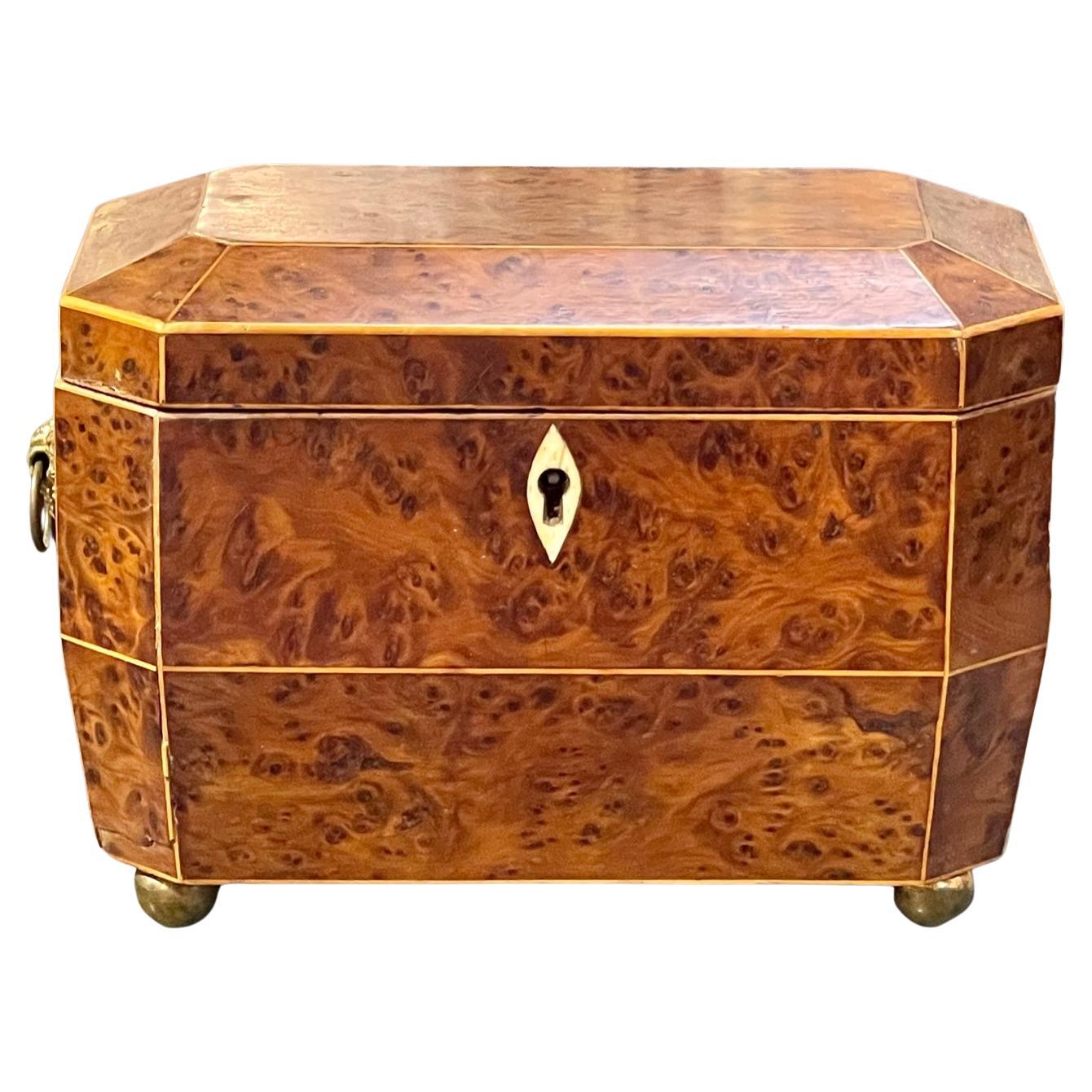 19th Century English Regency Burl Walnut Tea Caddy For Sale