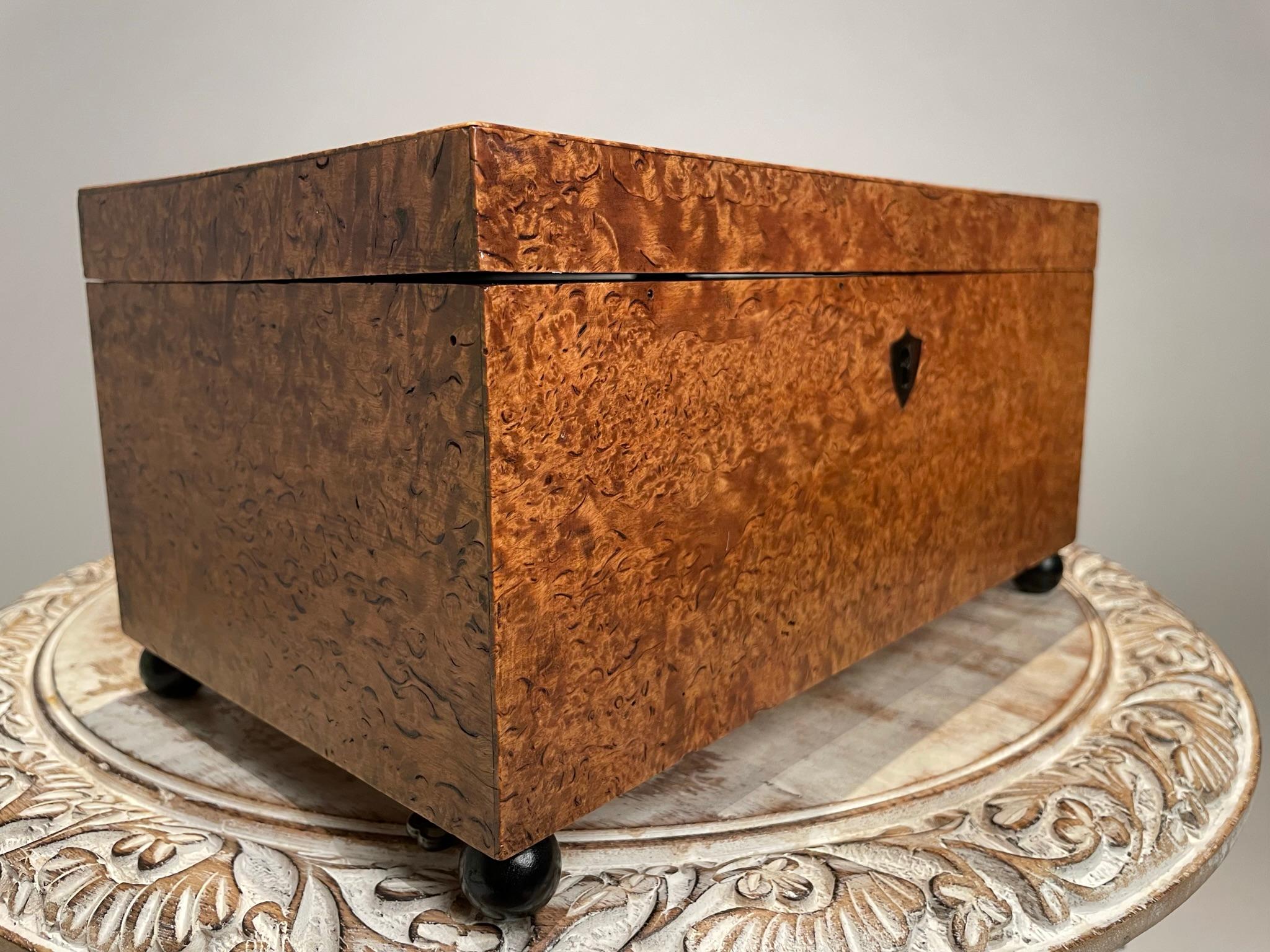 Englische Regency-Schachtel aus Wurzelholzfurnier des 19. Jahrhunderts mit ebonisierten Kugelfüßen  im Angebot 7