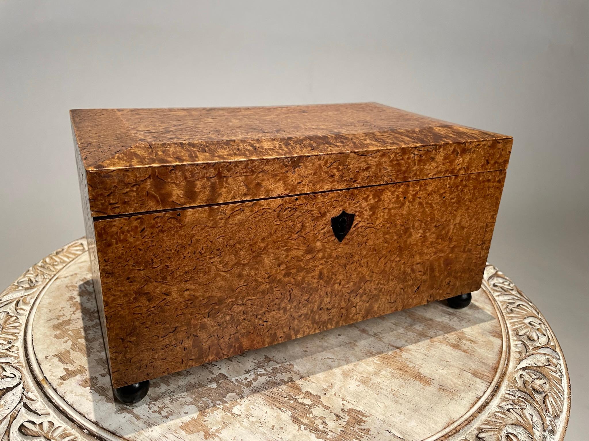 Englische Regency-Schachtel aus Wurzelholzfurnier des 19. Jahrhunderts mit ebonisierten Kugelfüßen  im Angebot 8