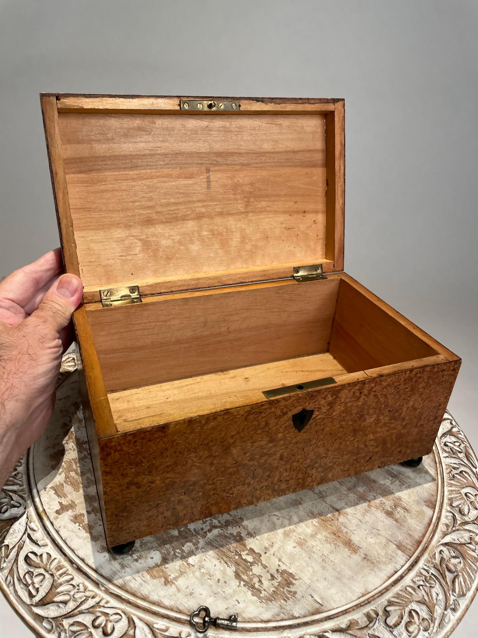 Englische Regency-Schachtel aus Wurzelholzfurnier des 19. Jahrhunderts mit ebonisierten Kugelfüßen  im Angebot 9