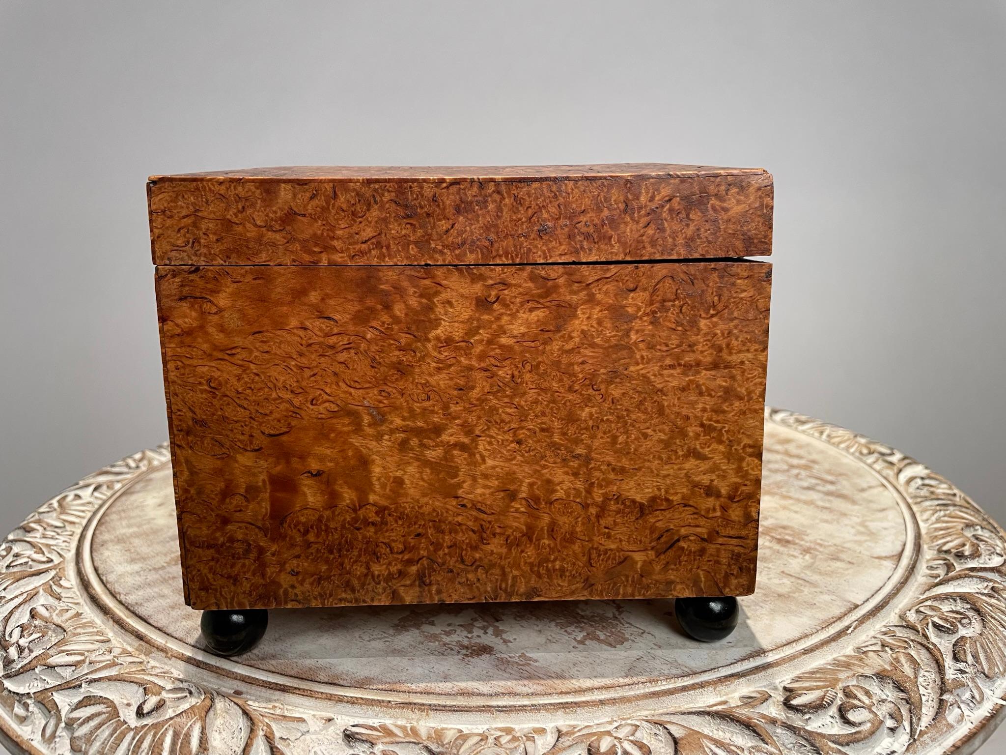 Englische Regency-Schachtel aus Wurzelholzfurnier des 19. Jahrhunderts mit ebonisierten Kugelfüßen  im Angebot 3