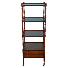 19th Century English Regency Mahogany Etagere