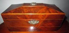 19th Century English Regency Mahogany Sarcophagus Form Tea Caddy