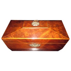 19th Century English Regency Mahogany Sarcophagus Form Tea Caddy