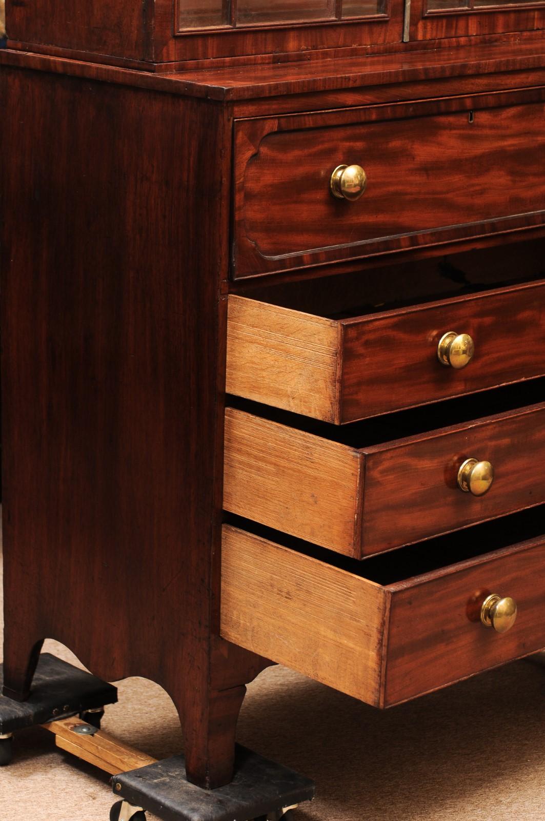 Libreria inglese Regency in mogano del XIX secolo con pomelli in ottone in vendita 2