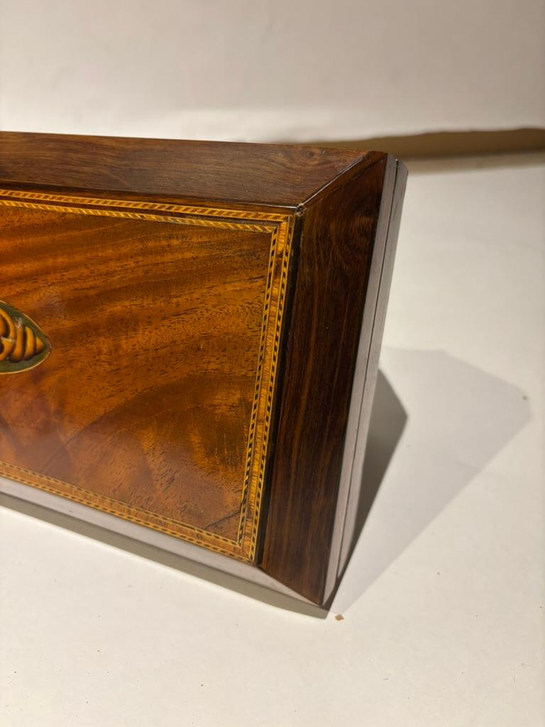 Porta tè in mogano della Reggenza inglese del XIX secolo con intarsio di conchiglia in vendita 5