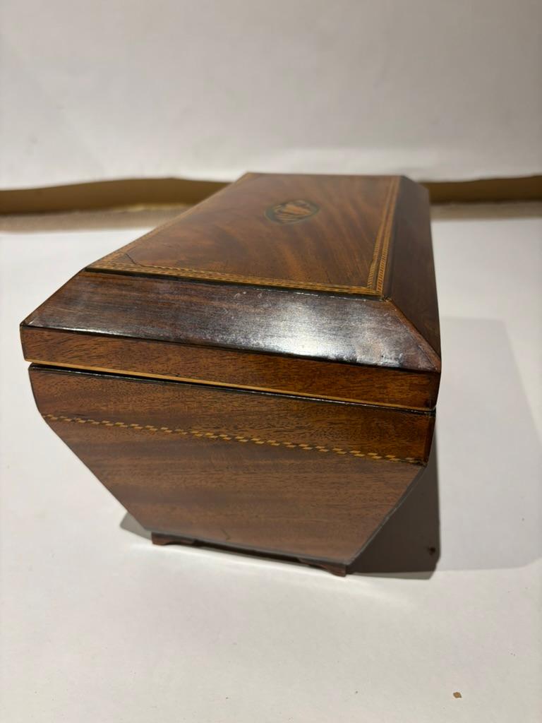 Porta tè in mogano della Reggenza inglese del XIX secolo con intarsio di conchiglia in vendita 6