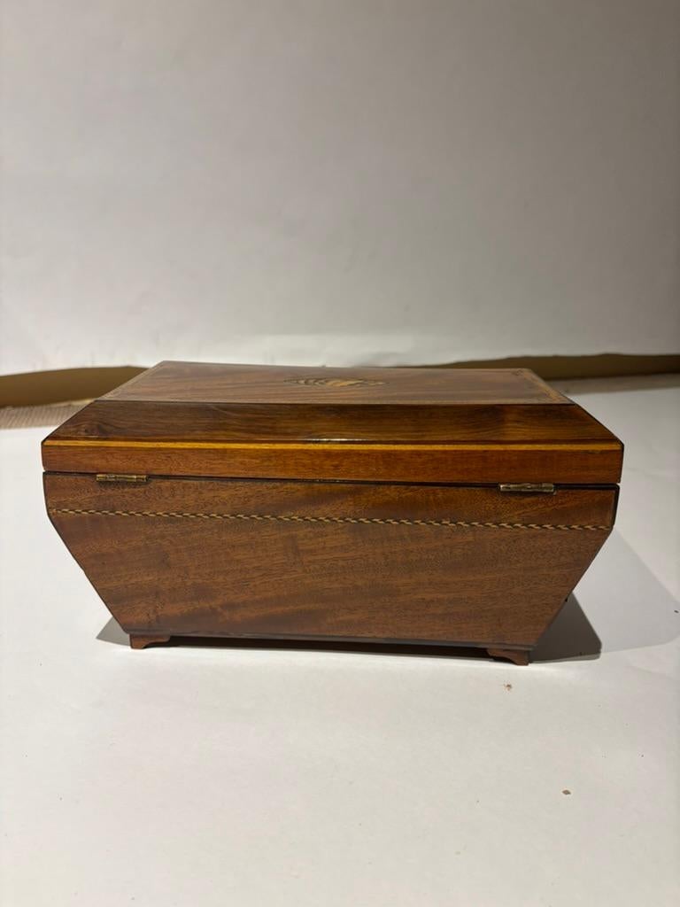 Porta tè in mogano della Reggenza inglese del XIX secolo con intarsio di conchiglia in vendita 7