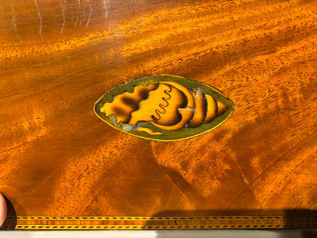 Porta tè a forma di sarcofago in mogano della Reggenza inglese del XIX secolo con piano intarsiato in raso e conchiglie in legno di agrifoglio. Il piano in mogano a fiamma è incorniciato da due fasce di intarsio geometrico, con al centro una
