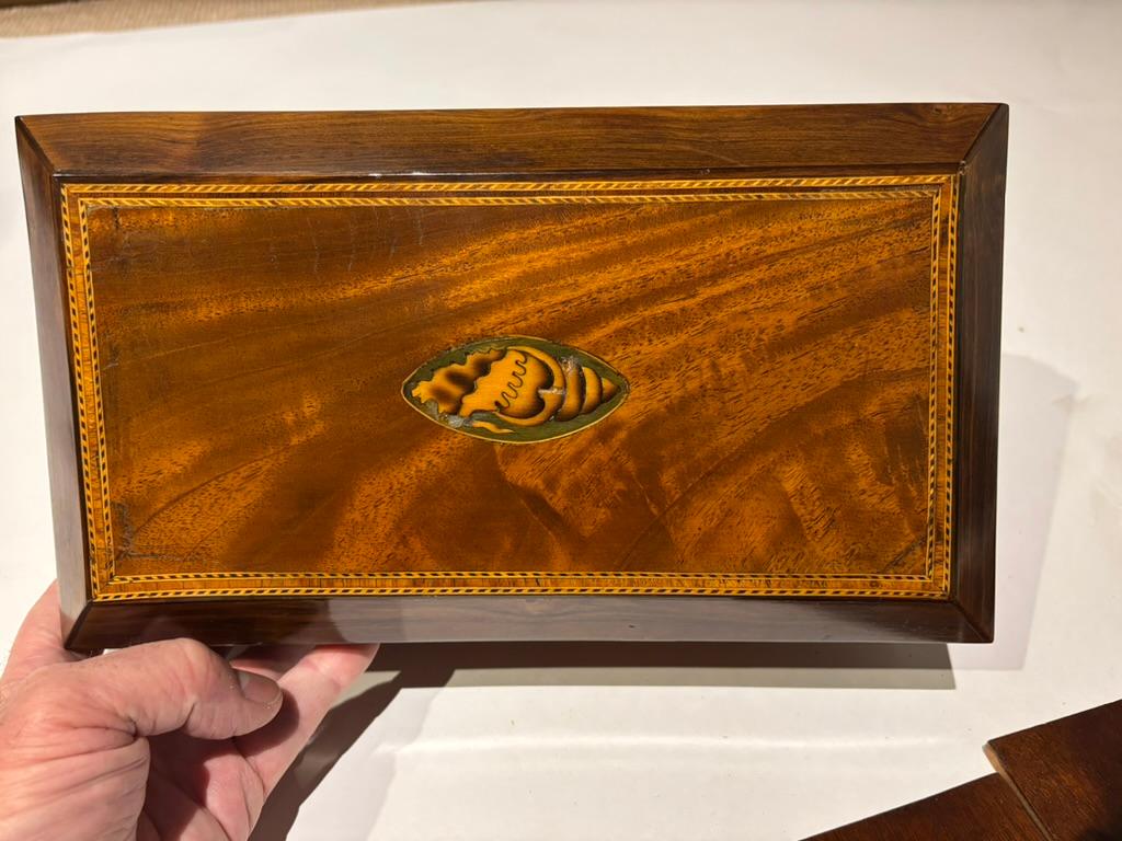 Regency Porta tè in mogano della Reggenza inglese del XIX secolo con intarsio di conchiglia in vendita