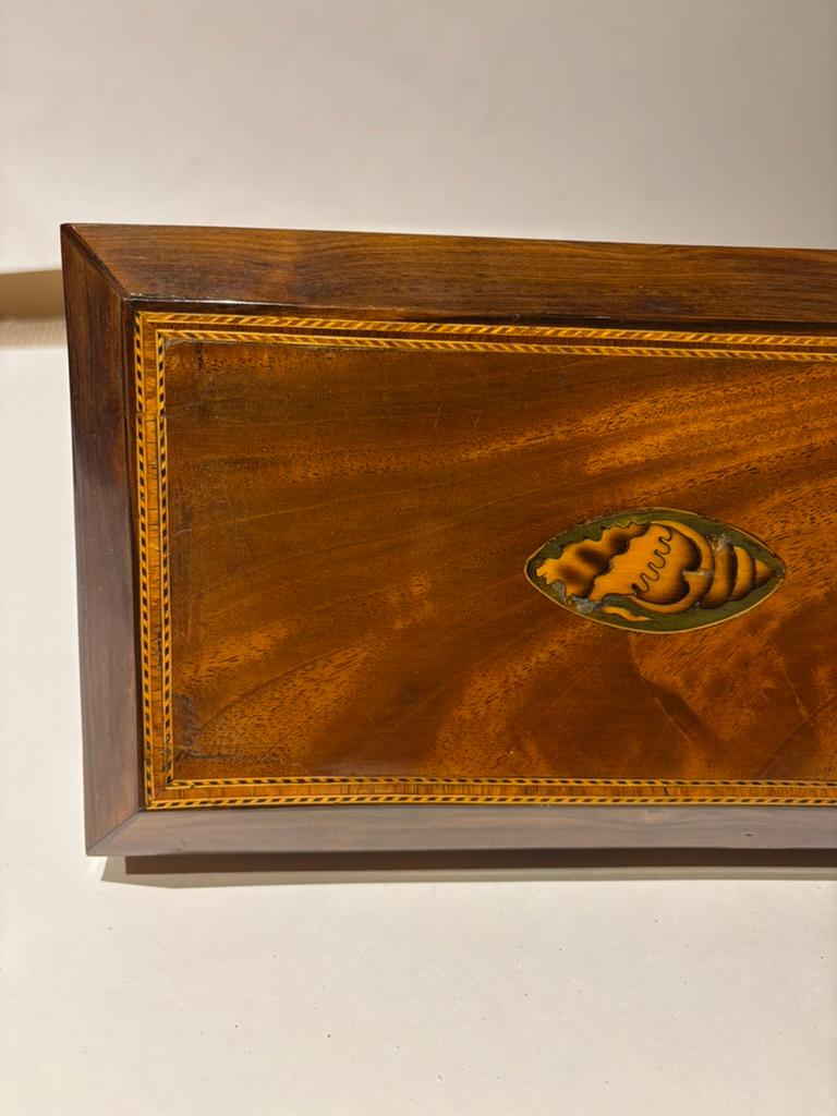 Porta tè in mogano della Reggenza inglese del XIX secolo con intarsio di conchiglia in vendita 3