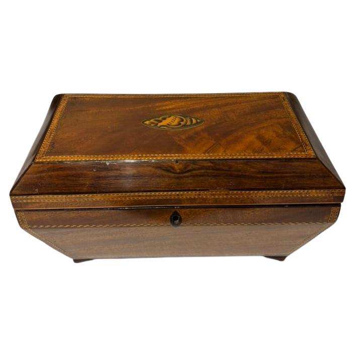 19th Century English Regency Mahogany Tea Caddy with Seashell Inlay