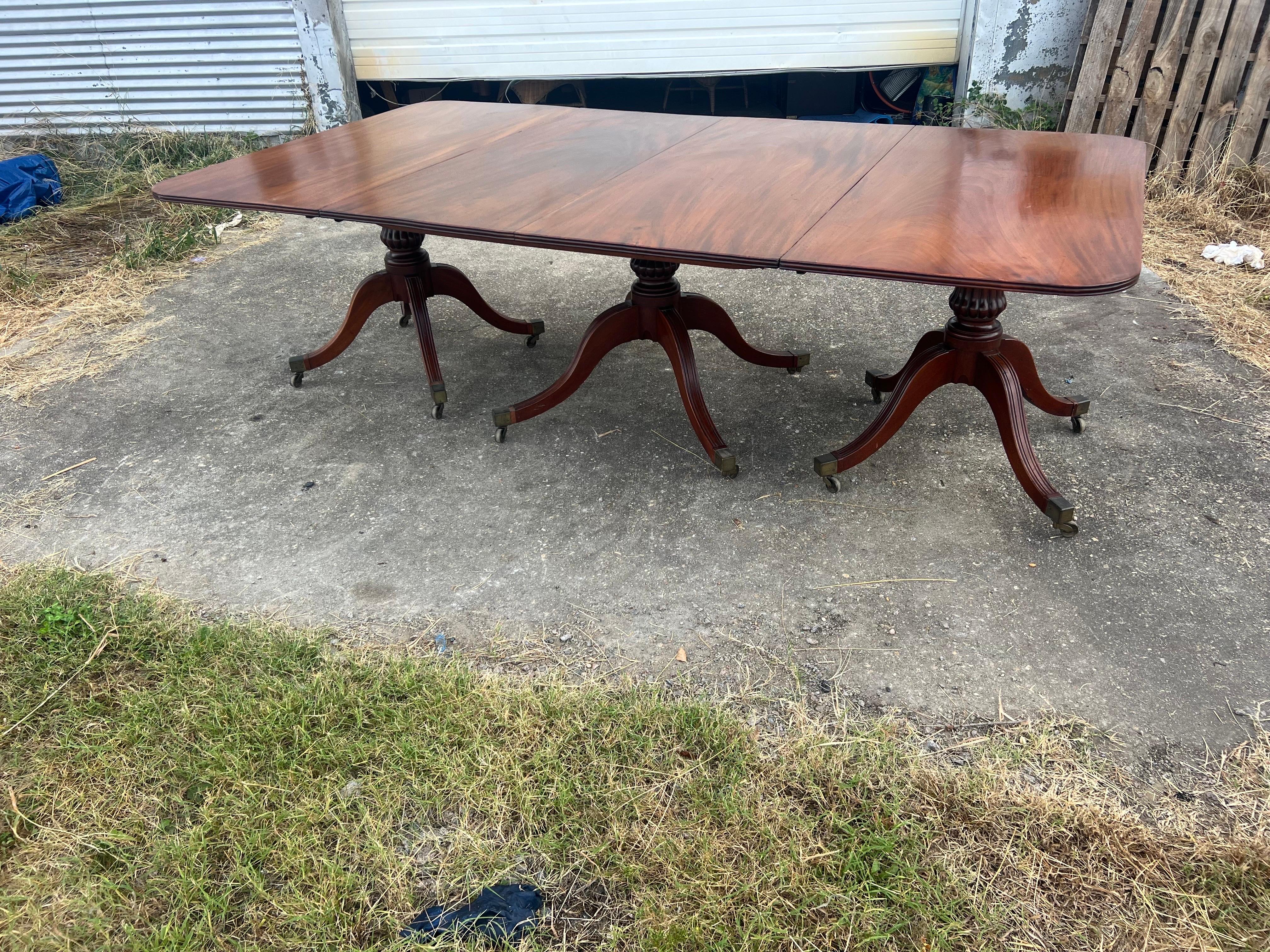 19th century English Regency mahogany triple pedestal dining table with highly figured and West Indies mahogany. Three pedestal bases with 4 reeded legs each with original castors. Table can be used as a double pedestal as well. 