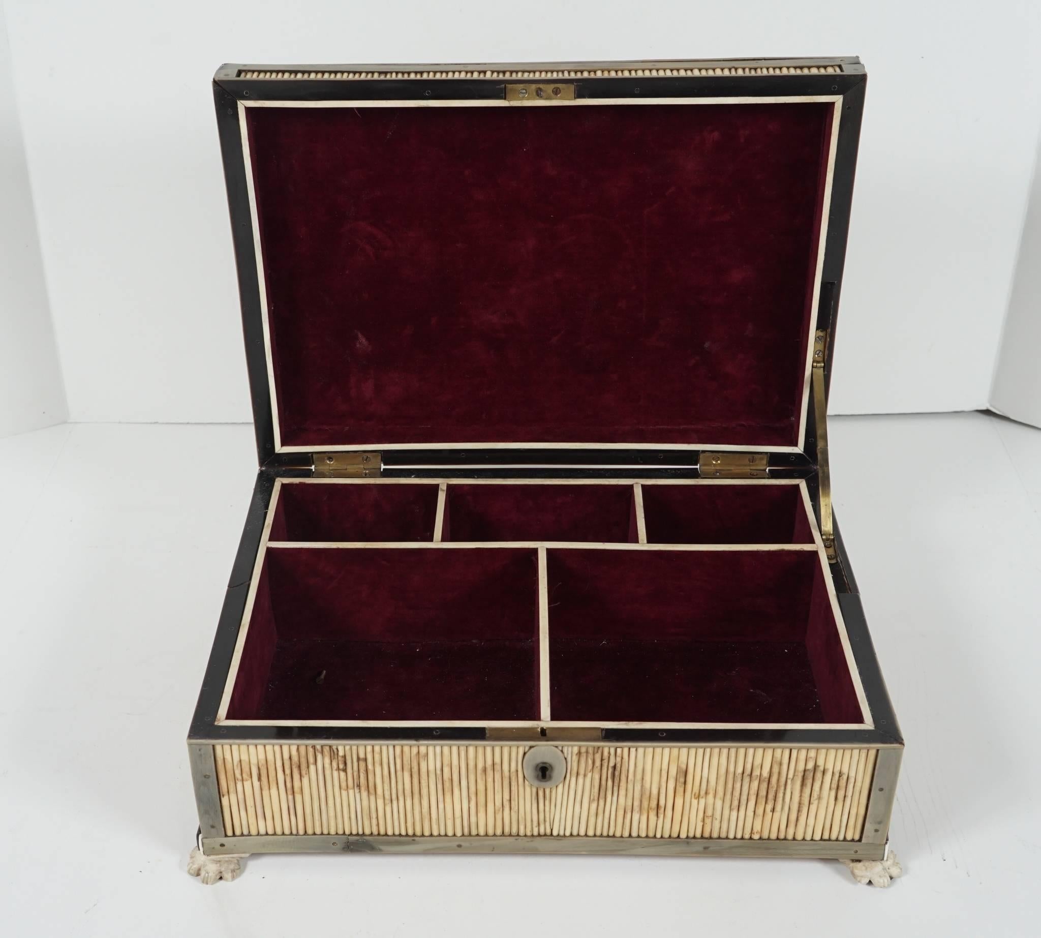 19th Century English Regency Period Horn, Quill and Bone Dressing Box 2