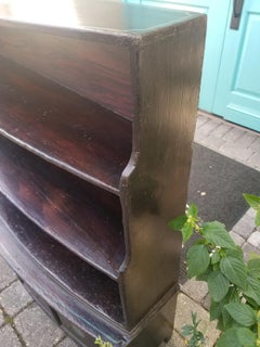 19th Century English Regency Style, circa 1840-1860 Faux Bois Bookcase