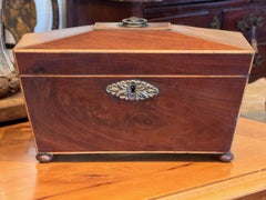 Porta tè inglese Regency del XIX secolo