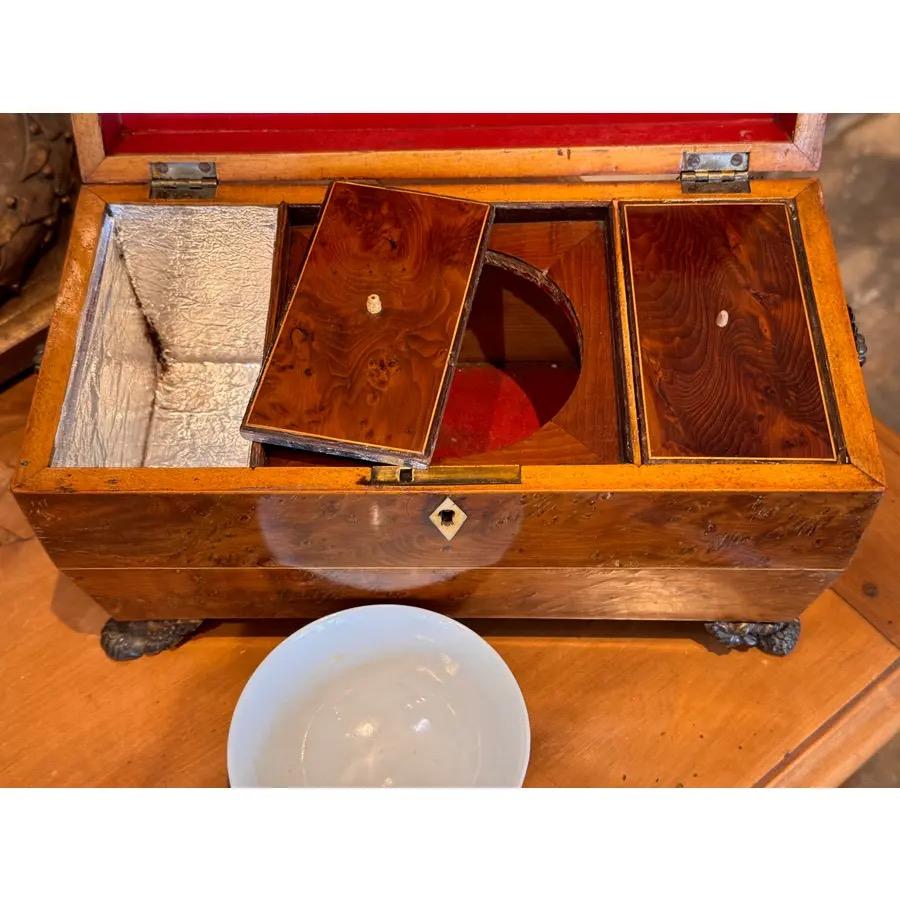 British 19th Century English Regency Tea Caddy For Sale