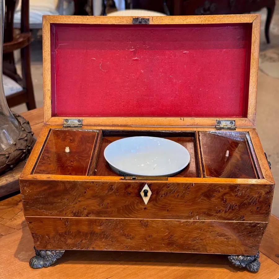 19th Century English Regency Tea Caddy In Good Condition For Sale In Charlottesville, VA