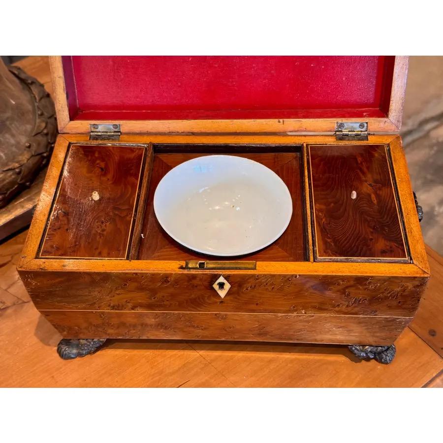 19th Century English Regency Tea Caddy For Sale 2