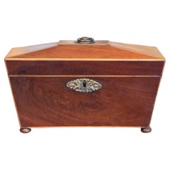 Caja de té de la Regencia inglesa del siglo XIX