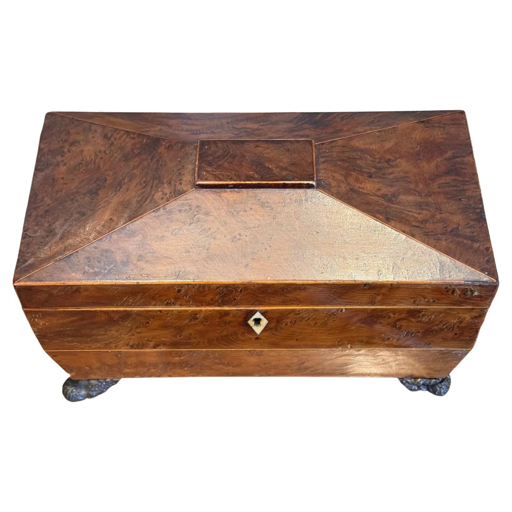 19th Century English Regency Tea Caddy For Sale