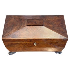 19th Century English Regency Tea Caddy