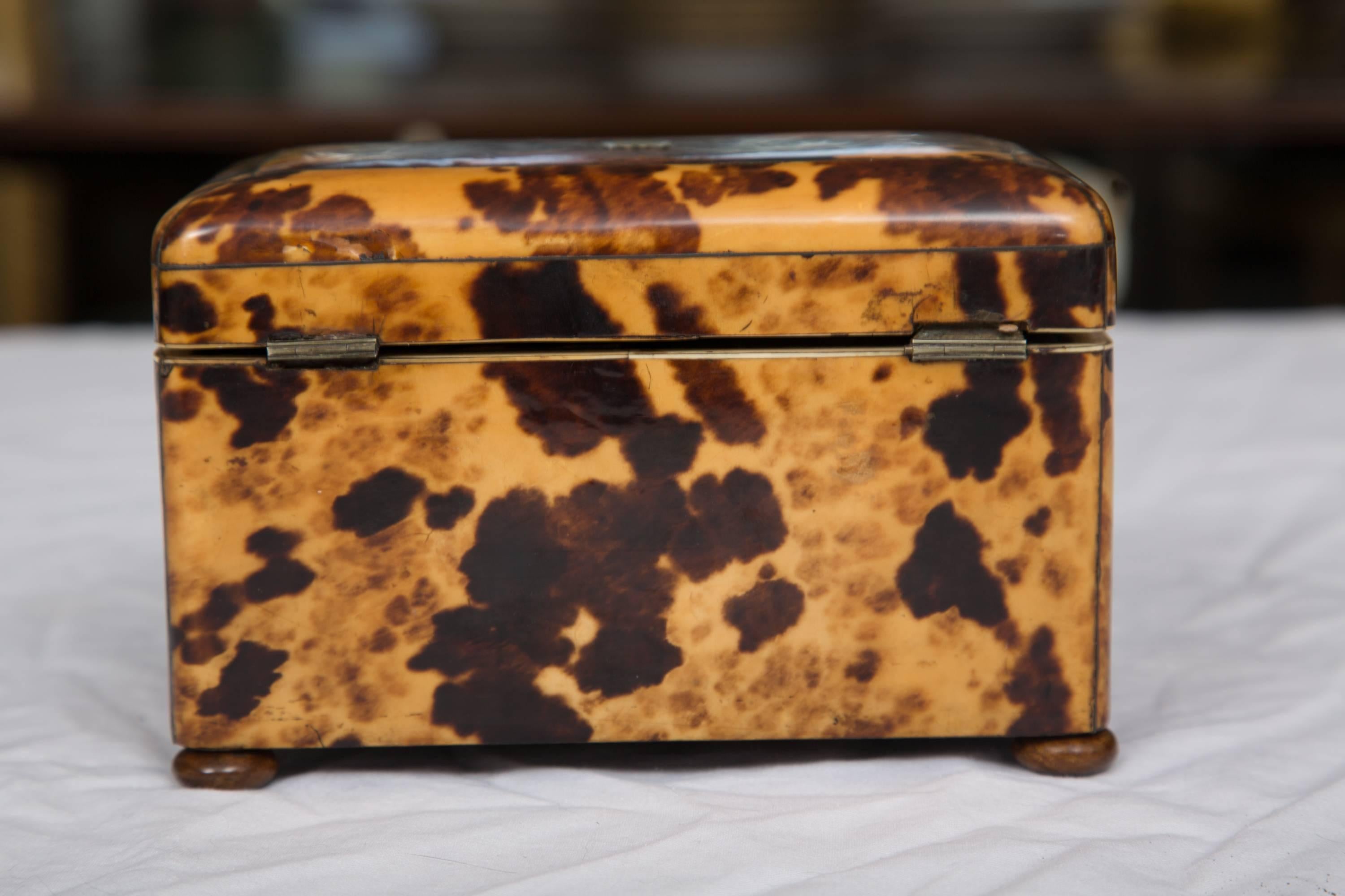 19th Century English Regency Tortoiseshell Tea Caddy In Good Condition In WEST PALM BEACH, FL