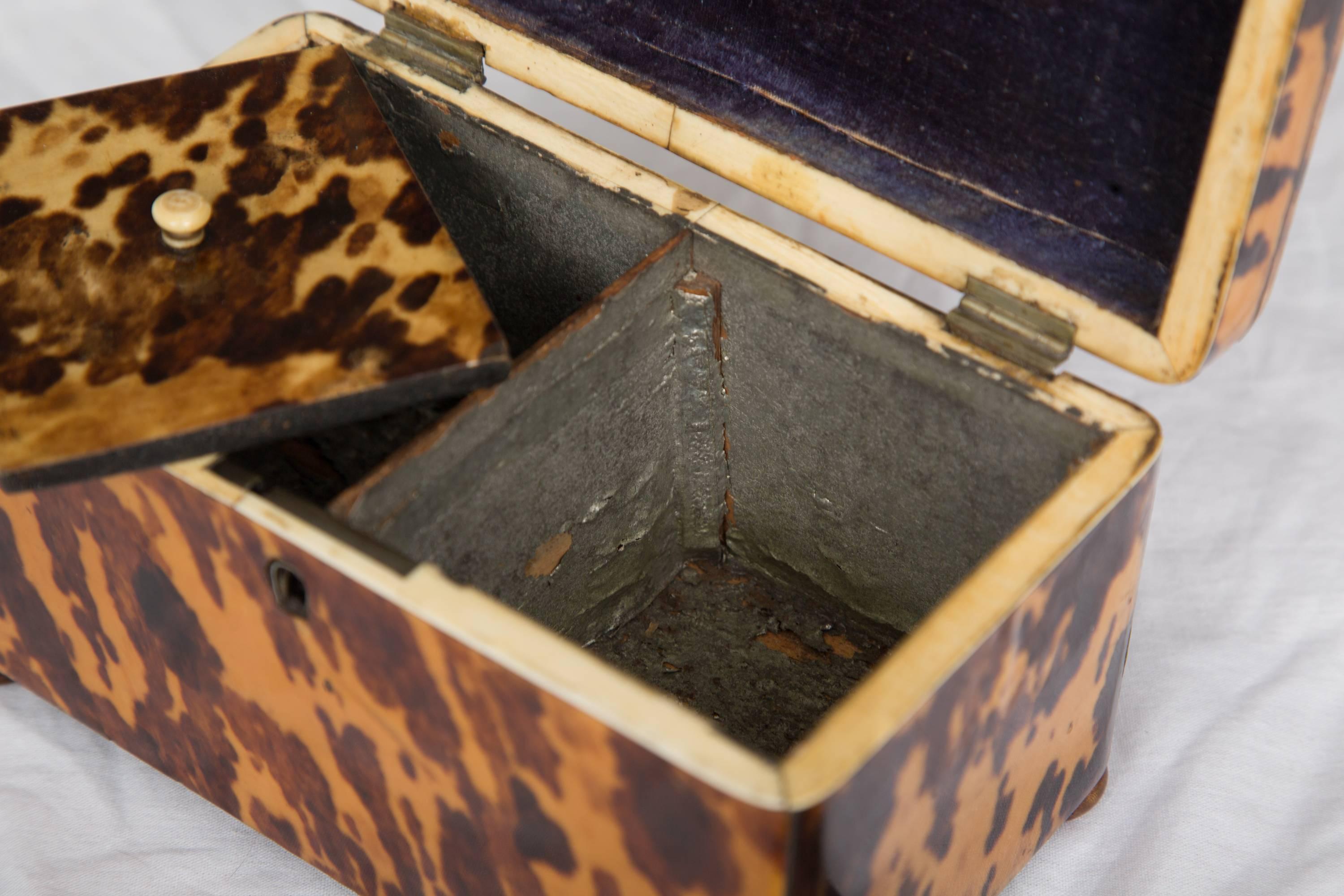 19th Century English Regency Tortoiseshell Tea Caddy 1