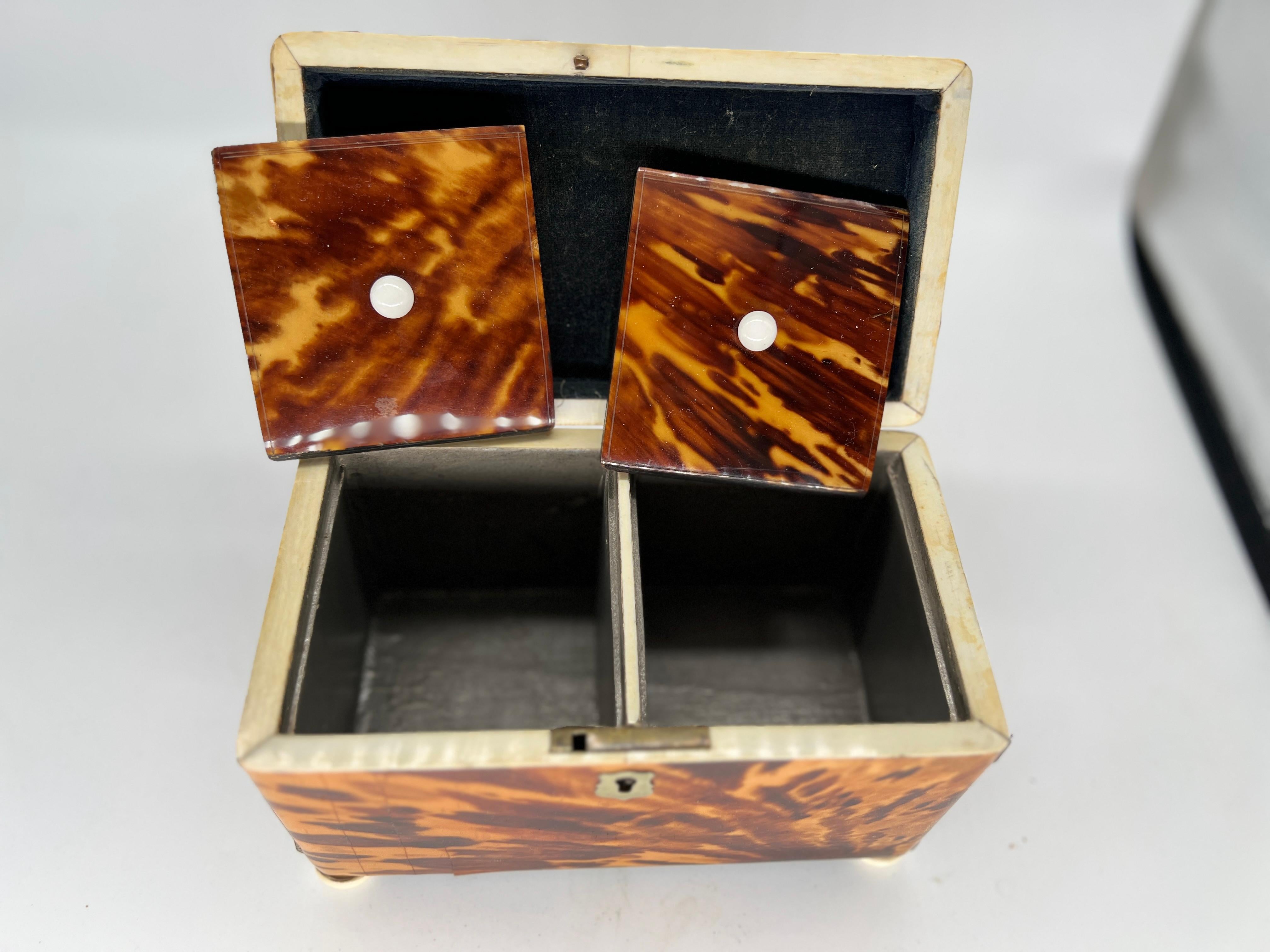 19th Century English Regency Tortoiseshell Tea Caddy 6